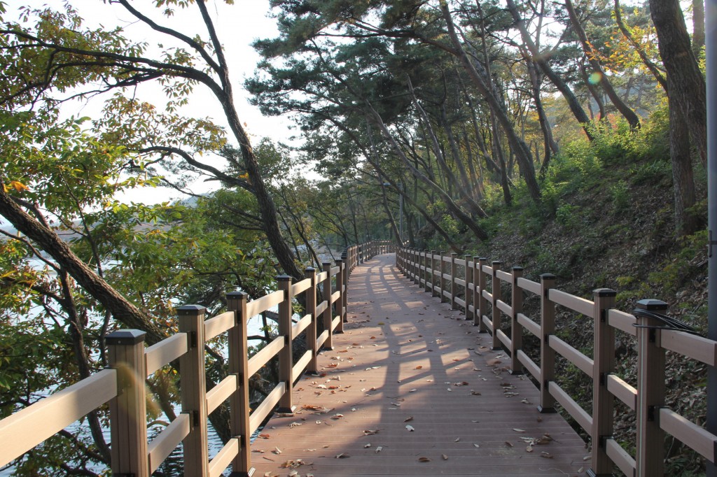 1.보문호 순환탐방로_완공_02