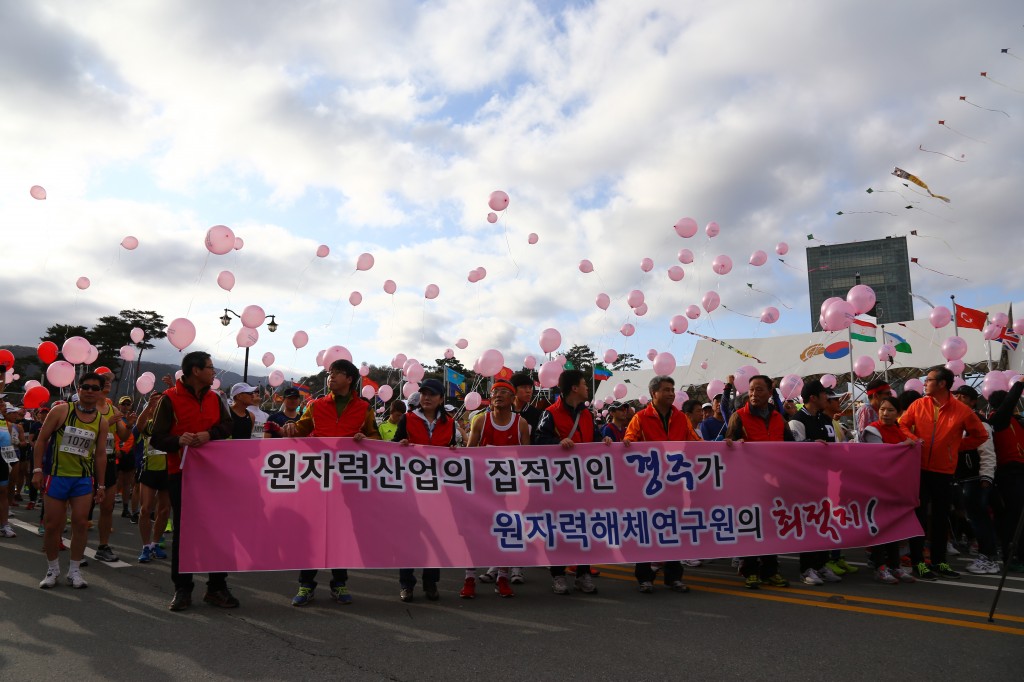 벚꽃마라톤(원해연 유치)