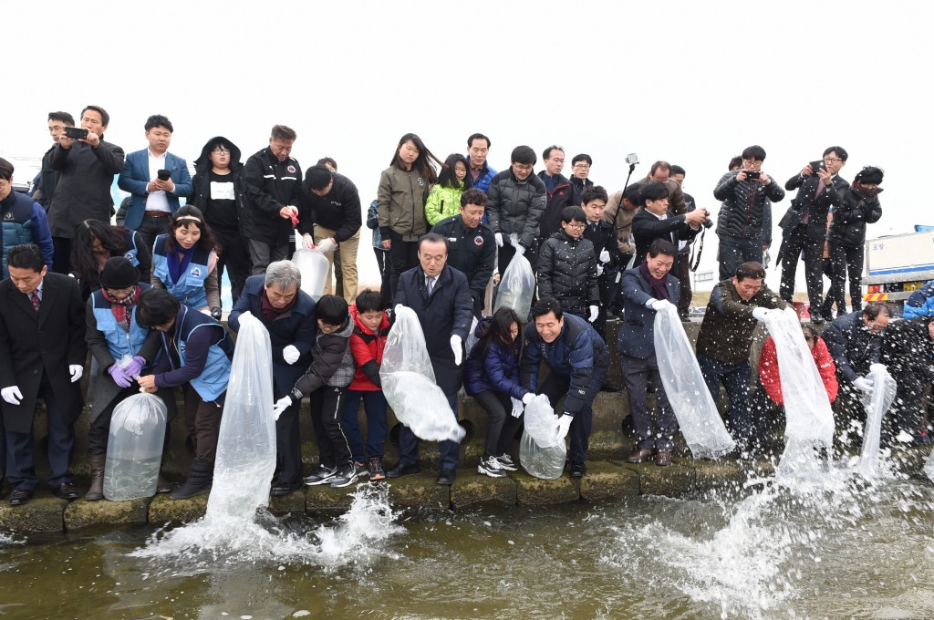 어린연어합동방류사진 (1)