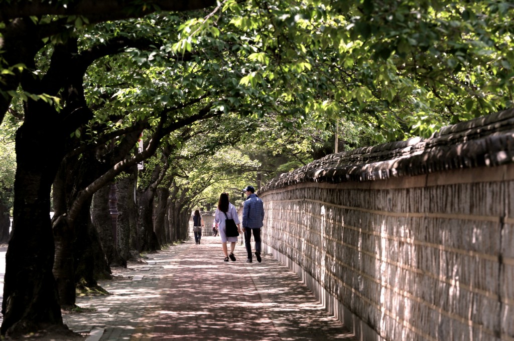대릉원 돌담길(동편) (1)